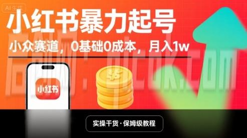 小红书暴力起号，小众赛道，0基础0成本，月入1w-启创网